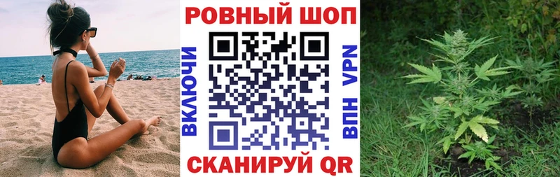 Виды наркотиков купить Новый Уренгой Альфа ПВП  Галлюциногенные грибы  Марихуана  Кокаин  МЕФ 