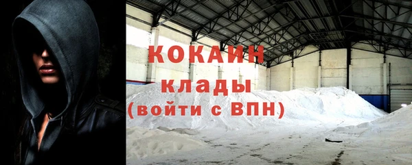 ГАЛЛЮЦИНОГЕННЫЕ ГРИБЫ Арсеньев