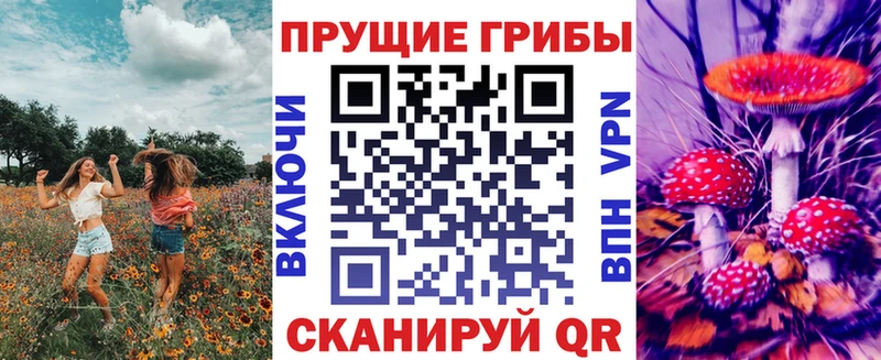 даркнет формула  Новый Уренгой  Галлюциногенные грибы Psilocybe 